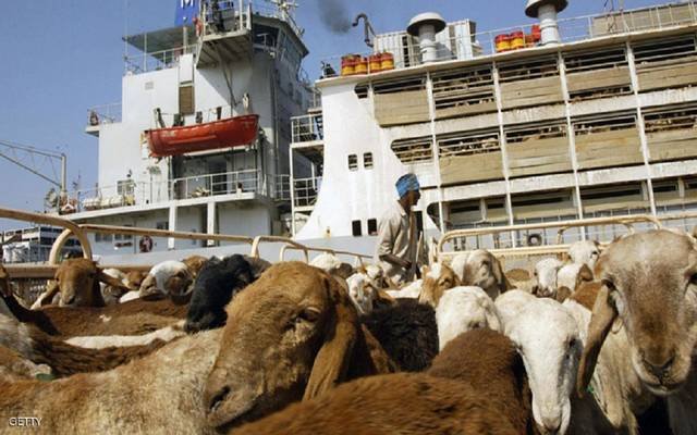 السعودية،الماشية،السودان،الثروة الحيوانية،الصادر،شروط