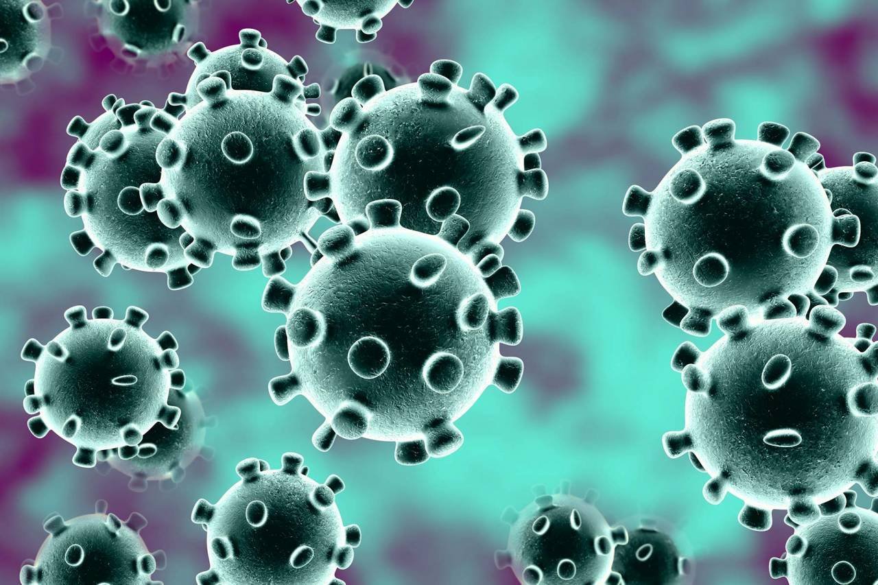الكشف عن حالات اشتباه للإصابة بفيروس كورونا في الجزيرة والبحر الأحمر