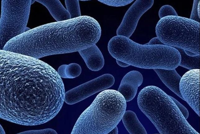 بكتيريا خارقة أسوأ من كورونا ستقضي على الملايين سنويا