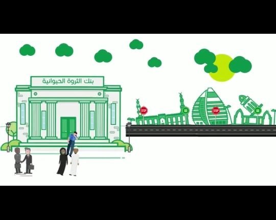 بنك الثروة الحيوانية يعلن للعملاء عن إمكانية إجراء كل المعاملات التجارية عبر تطبيق (موبايل الثروة)