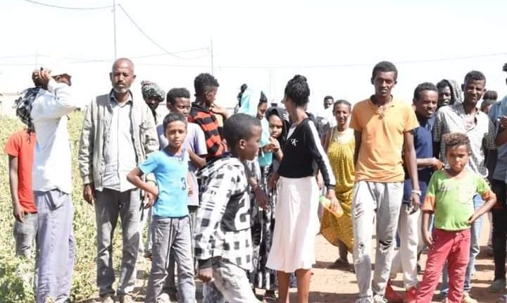 ارتفاع كبير في أعداد الإثيوبين اللاجئين إلى السودان