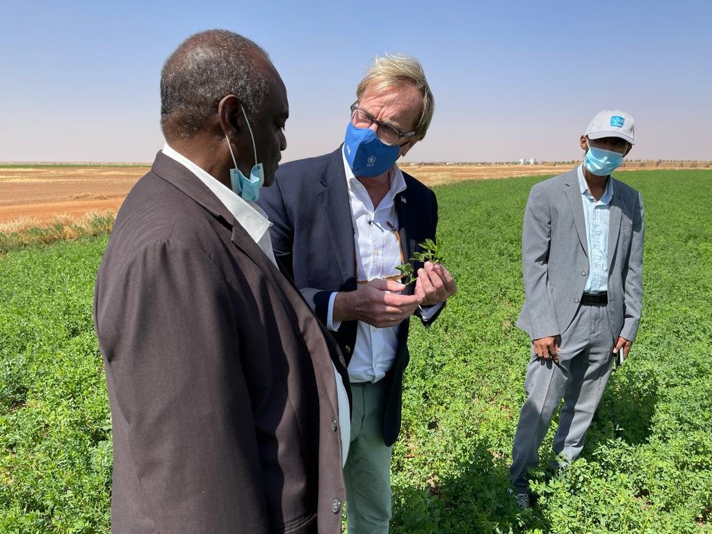 وفد من رؤساء 10 شركات امريكية عظمى سيصل السودان ومسؤولين امريكيين يجولون في مشاريع زراعية بالخرطوم لتطبيق اتفاقيات ابراهام