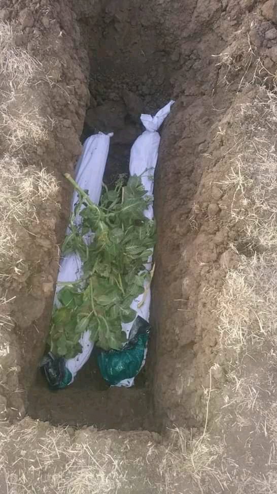 انتقادات لغياب قوى الحرية والتغيير عن دفن جثث مجهولة الهوية بولاية الجزيرة "بالصور"
