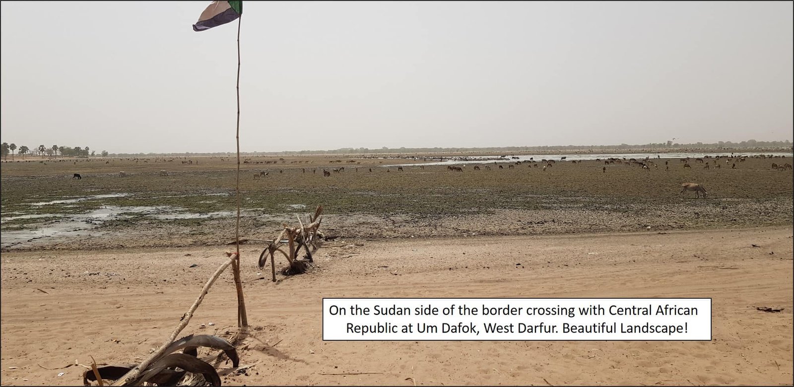 وفد ملحقية الدفاع الامريكية يزور ولايات في دارفور ويلتقي قادة القوات المسلحة السودانية (صور)