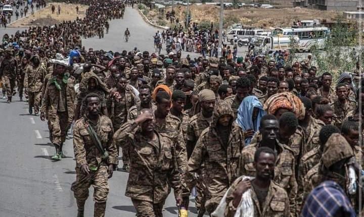 بالفيديو.. كمين لقوات دفاع إقليم تيغراي على القوات الإثيوبية وانباء عن تقدم مقاتلي جبهة تحرير اورومو نحو اديس ابابا و آبي أحمد يتوعد .. نواجه عدوا  (كالسرطان)