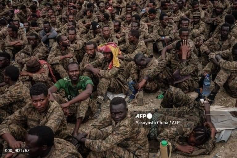 بالفيديو.. كمين لقوات دفاع إقليم تيغراي على القوات الإثيوبية وانباء عن تقدم مقاتلي جبهة تحرير اورومو نحو اديس ابابا و آبي أحمد يتوعد .. نواجه عدوا (كالسرطان) بالفيديو.. كمين لقوات دفاع إقليم تيغراي على القوات الإثيوبية وانباء عن تقدم مقاتلي جبهة تحرير اورومو نحو اديس ابابا و آبي أحمد يتوعد .. نواجه عدوا (كالسرطان)