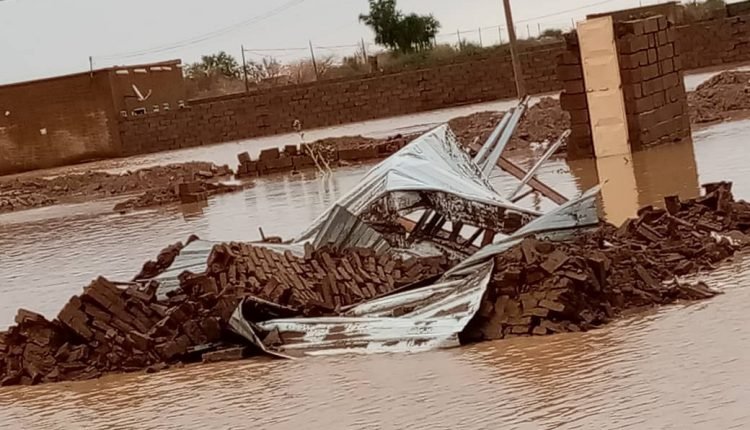  وفاة 12 شخص بلدغات العقارب والثعابين وانهيار آلاف المنازل جراء السيول بنهر النيل