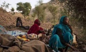 بالصور.. 8 قتلى وعشرات الجرحى في مواجهات دموية بالاسلحة الثقيلة بمنطقة كرينك "غرب دارفور" ومناشدة عاجلة من المدير الطبي