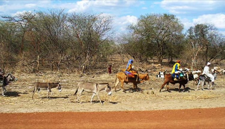 19 قتيلا ضحايا نزاع قبلي مسلح بغرب كردفان والسلطات تدفع بتعزيزات أمنية