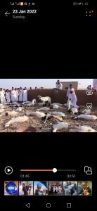 بالفيديو.. كارثة في ولاية سودانية واتهام السلطات باستخدام لقاح مميت من دولة مجاورة بالفيديو.. كارثة في ولاية سودانية واتهام السلطات باستخدام لقاح مميت من دولة مجاورة