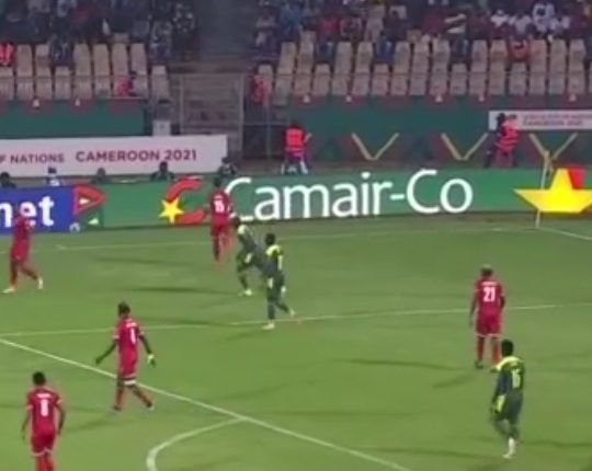 شاهد مباشر مباراة السنغال وغينيا في كأس أمم إفريقيا