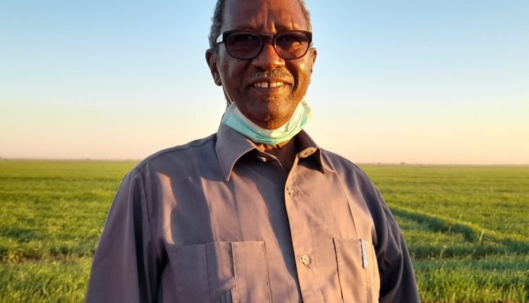 نجاة مدير مشروع الجزيرة من محاولة اغتيال