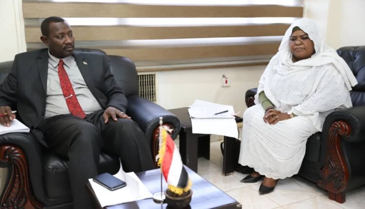 السودان.. الكشف عن 7 آلاف حالة ولادة خارج الإطار الشرعي بالخرطوم ومنظمة خيرية توضح التفاصيل