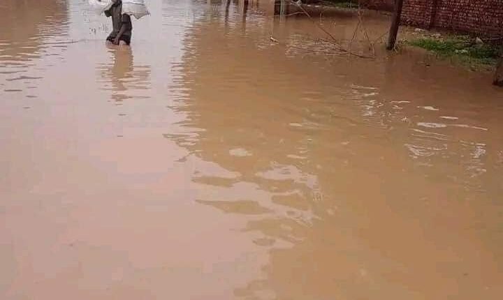 كوريا ترسل مساعدات بالآف الدولارات لمتضرري الفيضانات والأمطار في السودان