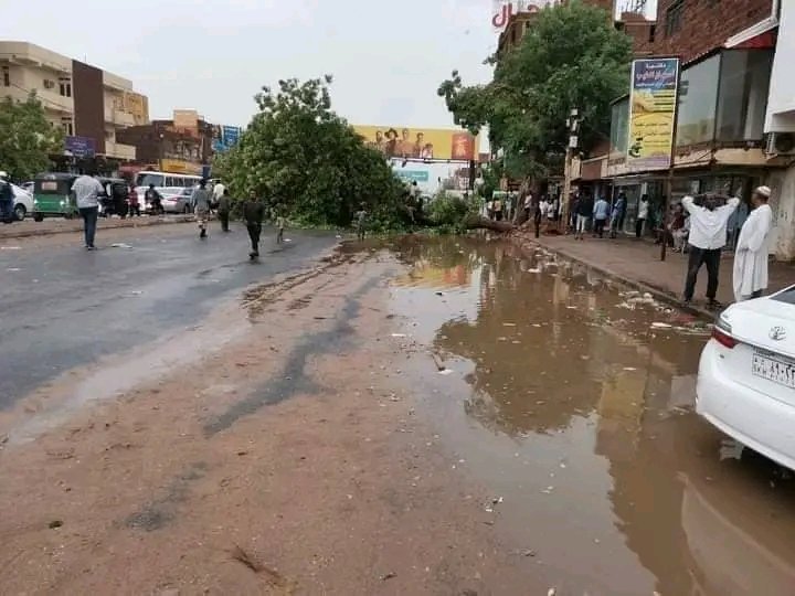 بالصور .. سقوط حاوية من جسر بالخرطوم واعمدة إنارة واسلاك كهربائية وأمطار ورياح تقتلع أشجار ضخمة ولوحات إعلانية بالشوارع ومحلات بسوق الخرطوم 2
