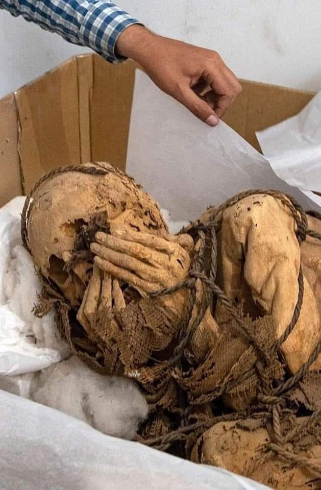 العثور على موميا عمرها 800 عام مقيدة بالسلاسل في واقع صادم