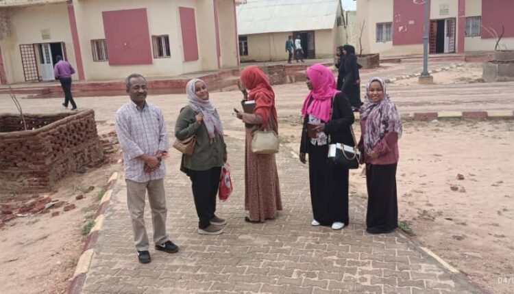 منظمة من أوروبا ترسل قافلة طبية إلى ولاية بغرب السودان