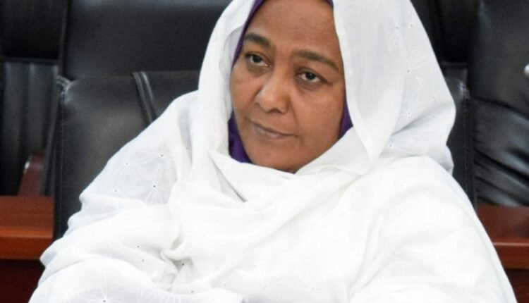 السودان.. مسجل تنظيمات العمل يصدر قرارات حول دور الاتحادات المهنية  
