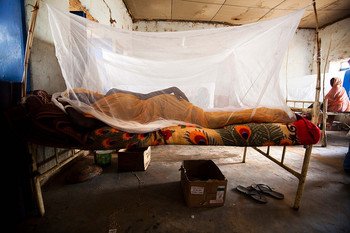 الكشف عن أوضاع صحية مخيفة في ولاية سودانية والسلطات توضح