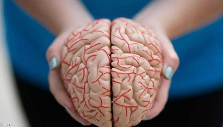 في الدماغ وليس القلب ..العلماء يعثرون على مركز الحب