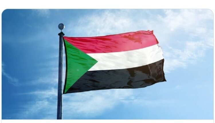 إغلاق المدارس والأنشطة التجارية السودانية في مصر