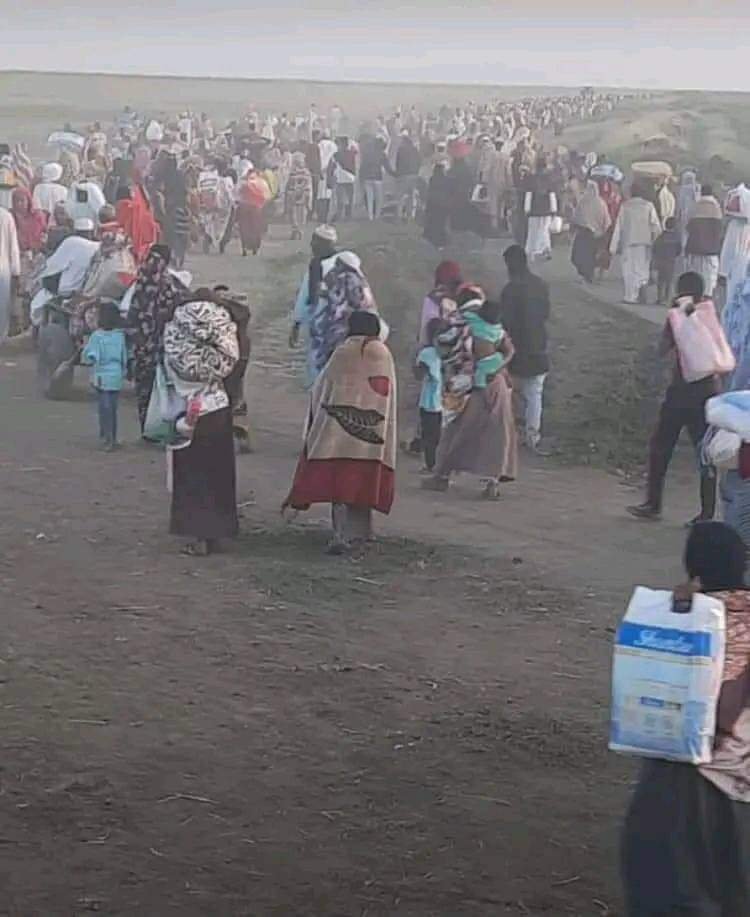 "مجزرة بشعة وموت محقق.."لعنة كيكل" تلاحق سكان ولاية الجزيرة.. تفاصيل مرعبة وإحصائيات إبادة ونزوح صادمة