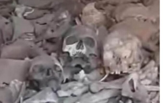 شبكة أطباء السودان تبدأ التحقيق لفك طلاسم جثث الحاويات
