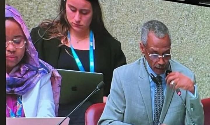 مجلس حقوق الإنسان يعلق على الانتهاكات الجارية في السودان