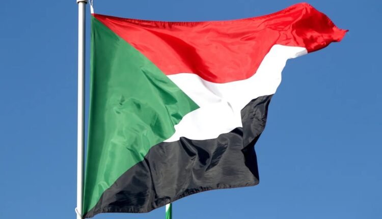 صفقة سلاح إلى الإمارات.. مجلس النواب الأمريكي يقود جلسة ونداء عالمي من أجل السودان