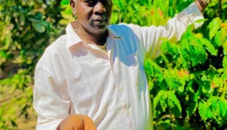 وداعا لإثيوبيا والبرازيل.. البن قادم من غرب السودان