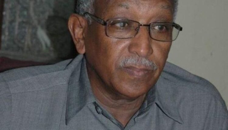 “أشك في رواية المعز عمر بخيت وهذه مبرراتي”