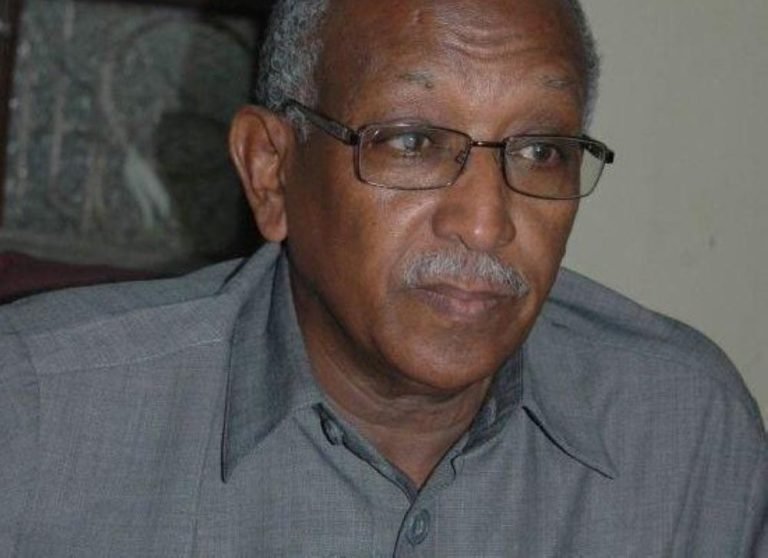 “أشك في رواية المعز عمر بخيت وهذه مبرراتي”