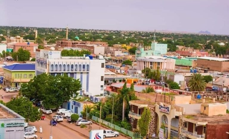 “الدعم السريع” تقصف الأبيض مجددا