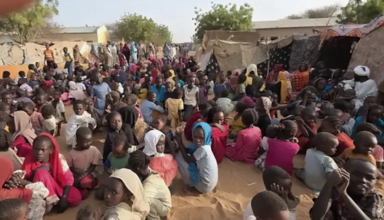 نداء إنساني: الفاشر تحت رحمة الجوع وطوق الحصار