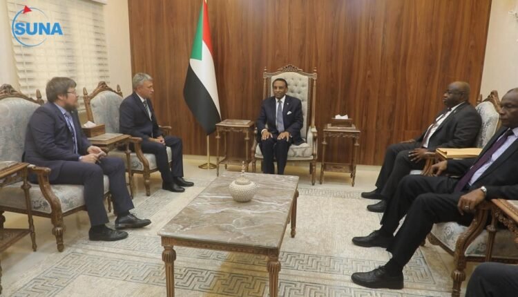 تفاصيل لقاء كامل إدريس مع السفير الروسي