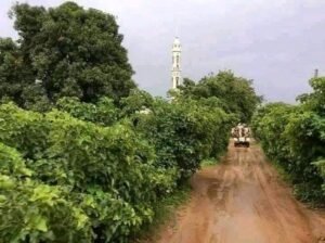 شاهد بالصور.. "كاودا" مدينة الشلالات المتدفقة والجمال الأخضر الخلاب