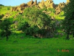 شاهد بالصور.. "كاودا" مدينة الشلالات المتدفقة والجمال الأخضر الخلاب