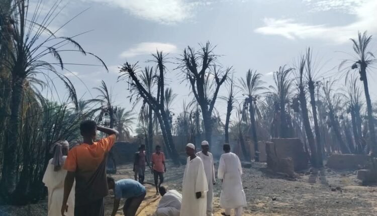 النيران تلتهم مزارع النخيل في شمال السودان