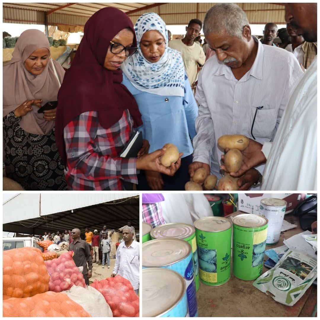 حملة مداهمة.. مخالفات تهدد الأمن الغذائي في السودان