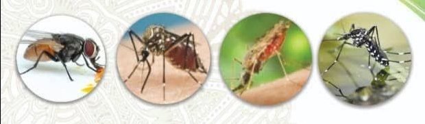 غدا.. وزارة الصحة السودانية تحاصر الأمراض جوًا وبرًا