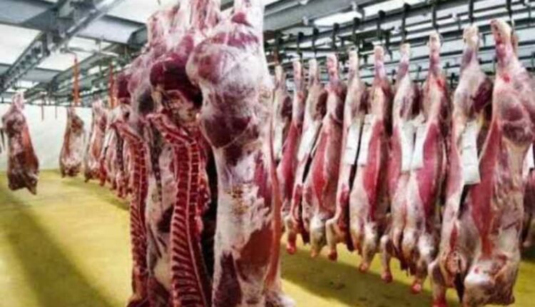 ثغرات وأزمات.. صادرات اللحوم السودانية تتوقف والإناث يتم تهريبها إلى السعودية