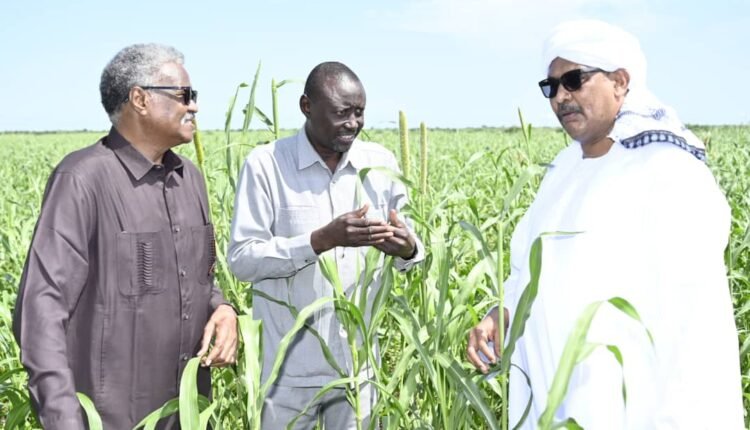 وزير الزراعة: بوجود هؤلاء السودان لن يجوع