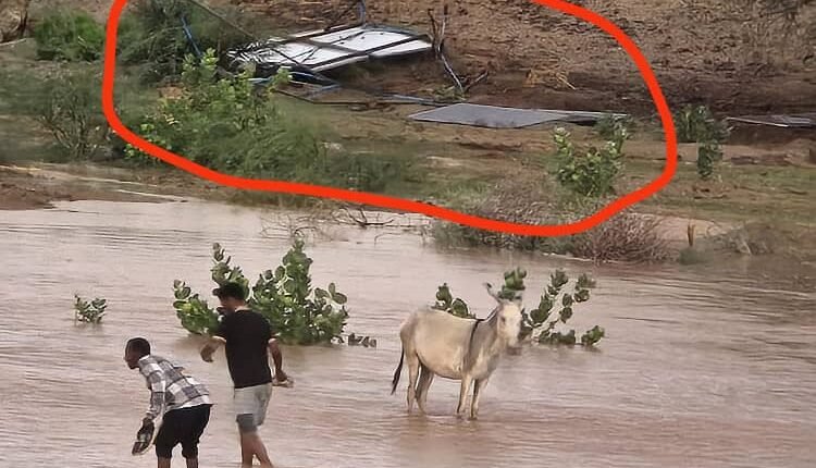 بسبب الأمطار والعواصف.. خسائر فادحة في محليتي مروي والدبة