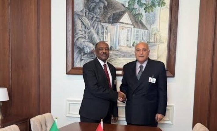 الجزائر تمد يدها إلى السودان وتؤكد دعمها اللامحدود