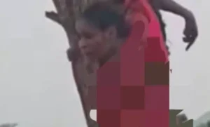 الشهيدة (قسمة) تُعلّق جرائم الجنجويد على شجرة