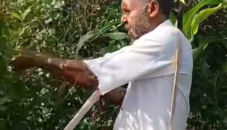 الشاي الكيني يسجل نجاحا باهرا في نهر النيل