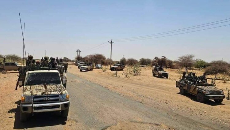 20 كلم خارج المدينة.. الجيش السوداني يبدأ عملية تمشيط واسعة في ضواحي الفاشر