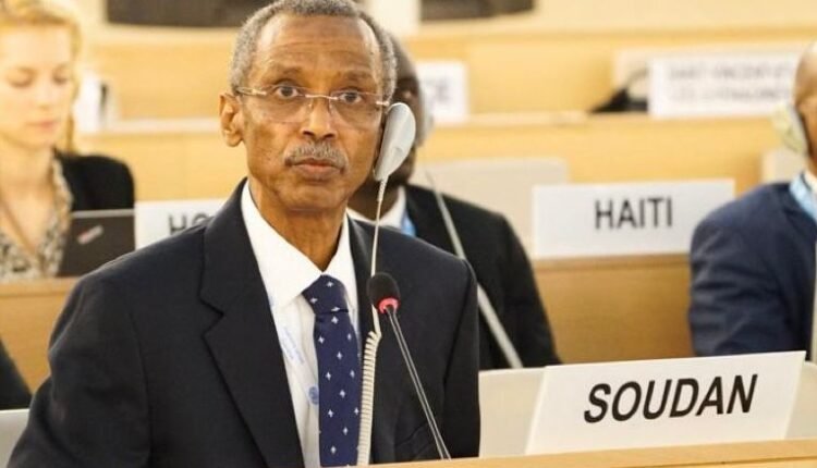 مأجورة وتتبنى روايات كاذبة.. السودان يهدد بشكوى منظمات إلى الأمم المتحدة