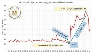 القاهرة: إثيوبيا تمارس تصرفات "متهورة" في إدارة سد النهضة وتهدد أمن شعوب دول المصب القاهرة: إثيوبيا تمارس تصرفات "متهورة" في إدارة سد النهضة وتهدد أمن شعوب دول المصب