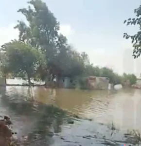 القاهرة: إثيوبيا تمارس تصرفات "متهورة" في إدارة سد النهضة وتهدد أمن شعوب دول المصب القاهرة: إثيوبيا تمارس تصرفات "متهورة" في إدارة سد النهضة وتهدد أمن شعوب دول المصب